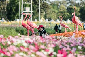 BIB: 
                            <button type="button" onclick="openModal(27344266)" class="btn btn-primary btn-sm float-right btn-popup" data-toggle="modal" data-target=".modal-high-quality">
                        <i class="fas fa-shopping-cart"></i> Add to Cart
                    </button>
                                            <button type="button" onclick="isThisMe(27344266, true)" class="btn btn-success btn-sm float-right btn-popup btn-isme hidden" data-toggle="tooltip" data-placement="bottom" title="นี่คือรูปของคุณใช่ไหม คลิกที่นี่เพื่อเอาเข้าอัลบั้ม">
                        <i class="fas fa-plus"></i> Add to album
                    </button>
                    <button type="button" onclick="isThisMe(27344266, false)" class="btn btn-warning btn-sm float-right btn-popup btn-isnotme hidden">
                        <i class="fas fa-ban"></i> Remove from album
                    </button>